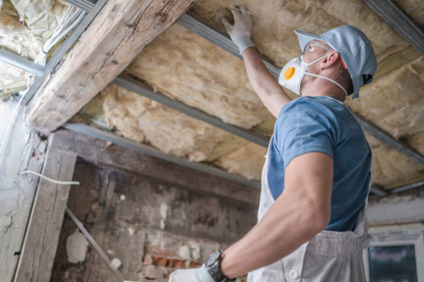 Best Specialized Insulation Services in Madison Heights, MI