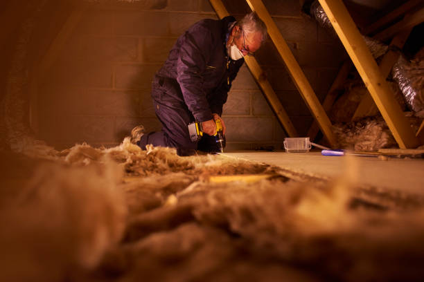 Best Geographic-Specific Insulation Services in Madison Heights, MI